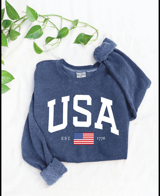 USA EST.1776 Mineral Washed Graphic Sweatshirt